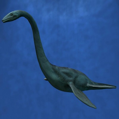 Elasmosaur