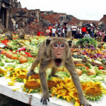 Top 10 Unusual Festivals