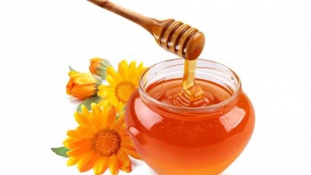 honey-antibiotics