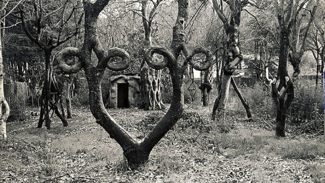circus-trees