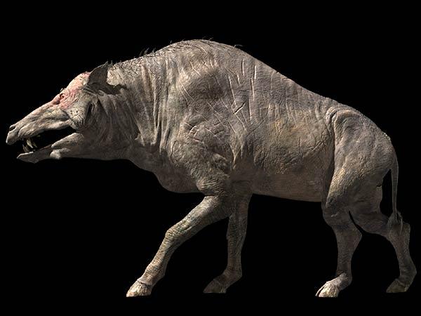 entelodont entelodon dinosaurs hyaenodon jurassic pigs hell rhino park walking zoo dinosaur dinos wiki dinopedia rock fandom fossil