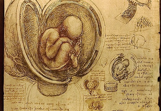 davinci-notebooks