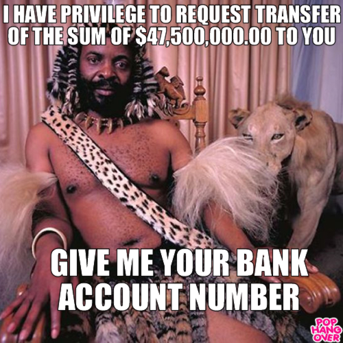 Image result for scam nigerian prince meme
