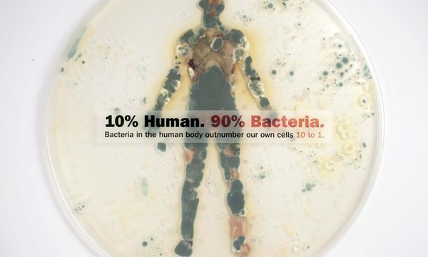 bacteria-body