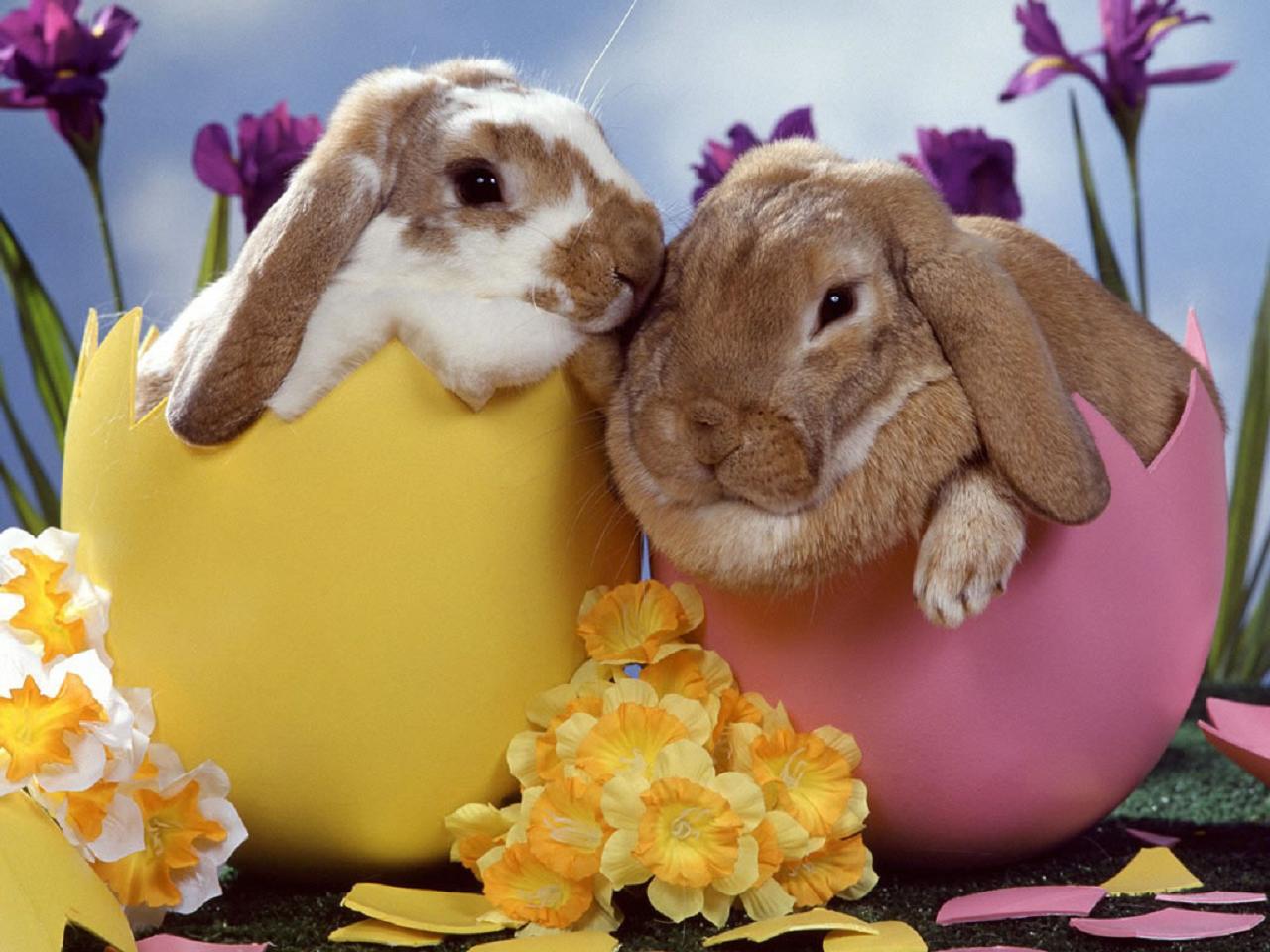10 Facts About EASTER More Interesting Than the Chocolate - Toptenz.