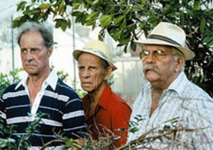 cocoon-640x453 cocoon cocoon