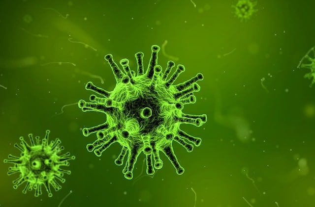 These Viruses Are Actually Making the World a Better Place