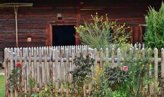 Advantages to Growing Your Own Food