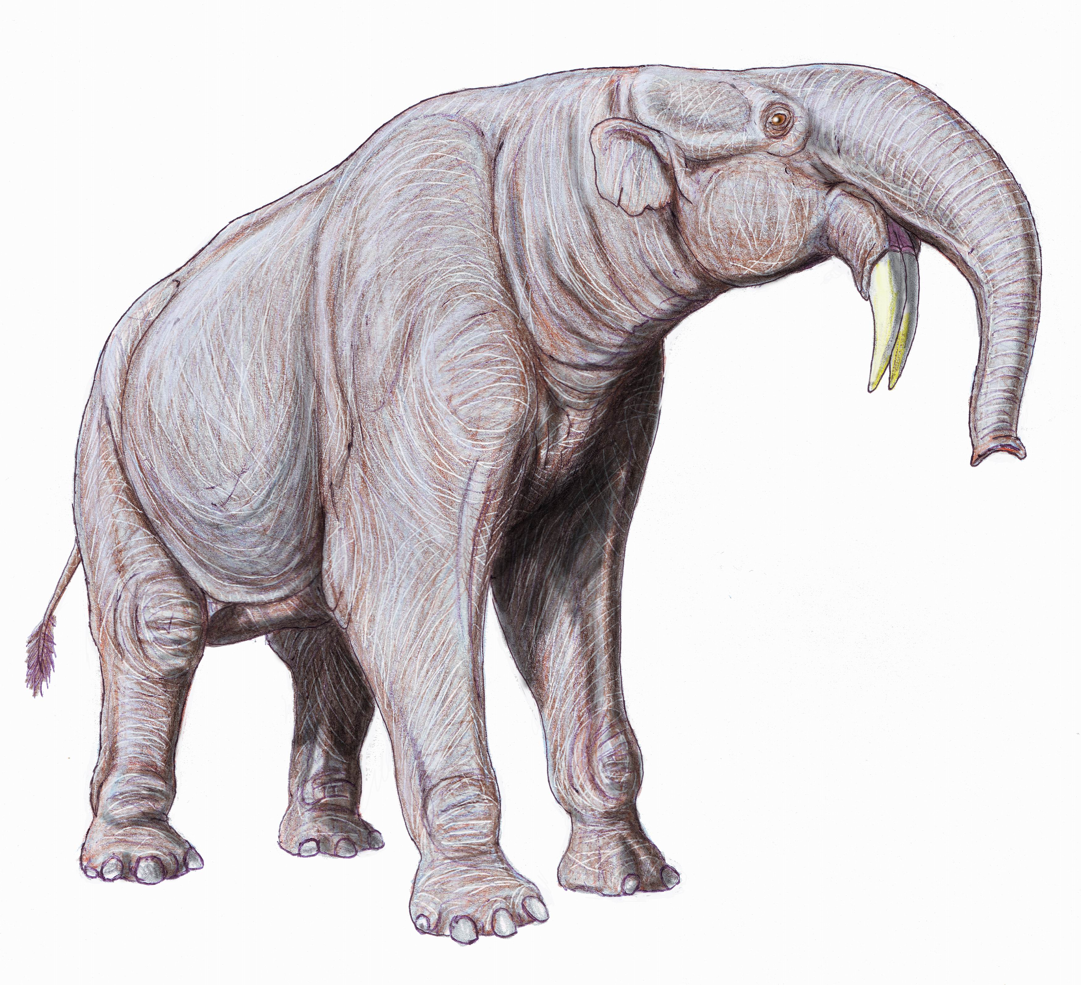 Top 10 Bizarre Prehistoric Animals 