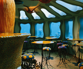 red-sea-star-underwater-bar