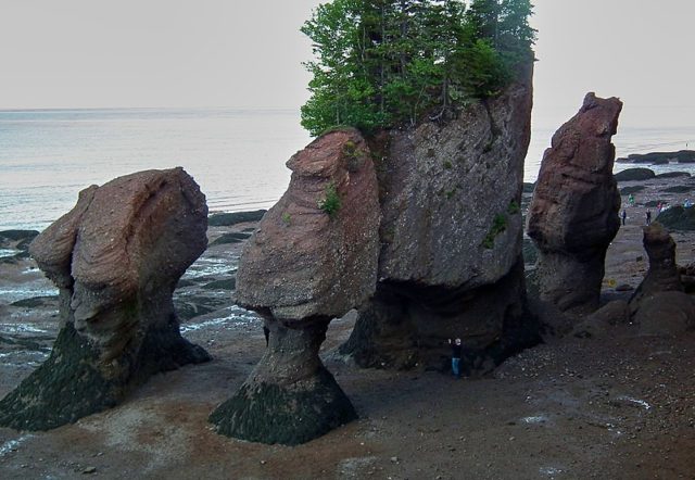 Hopewell Rocks Provincial Park at low tide.