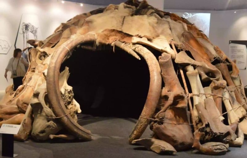 Top 10 Creative Uses For Bones Top 10 Creative Uses For Bones