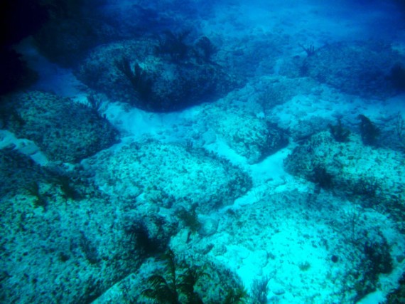 bimini-road
