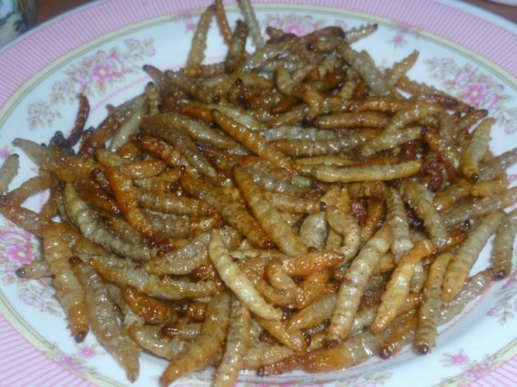 fried-worms