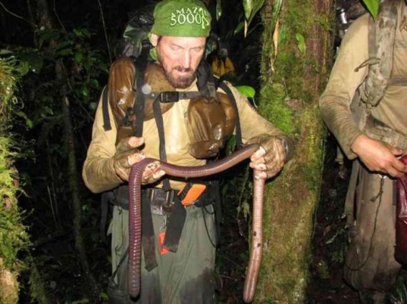 giant-earthworm