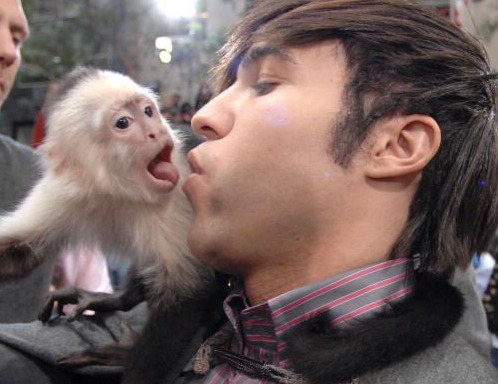 kissing pet monkey