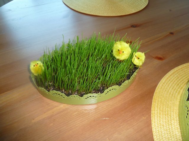 finland-easter-grass
