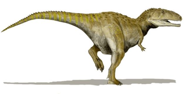 Mapusaurus-dinos
