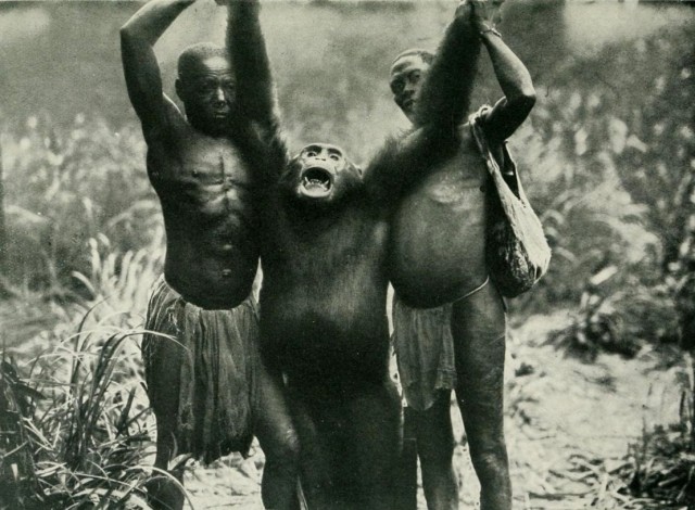ape-myth