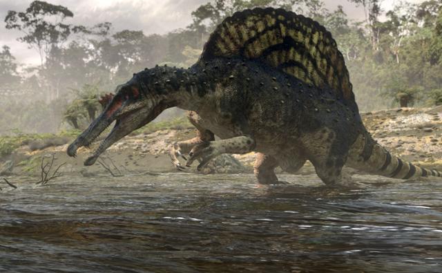 spinosaurus-dinos