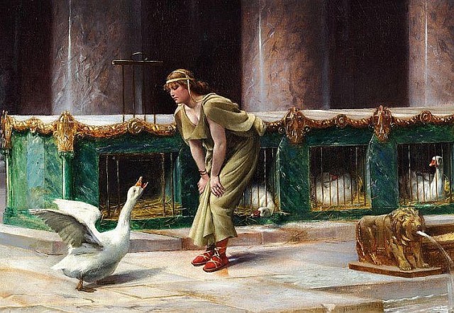 roman-goose