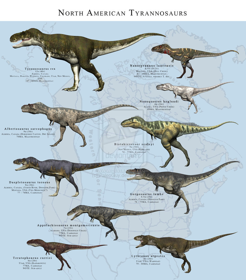 different kinds of t rex