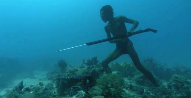 freediving7