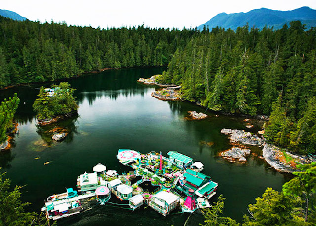 freedomcove