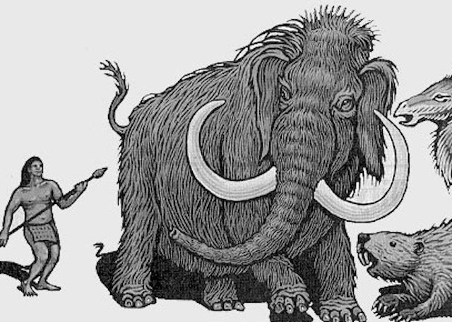 megafauna