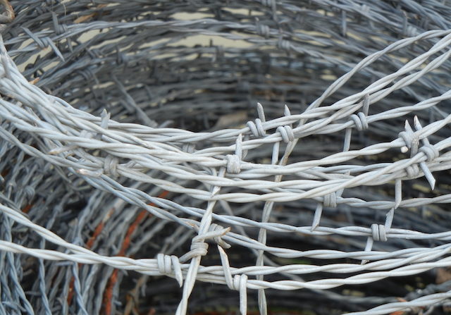 Barbed_Wire_Roll