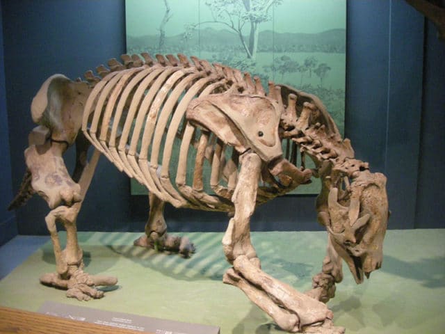 10 Terrifying Animals That Lived Alongside Prehistoric Man 