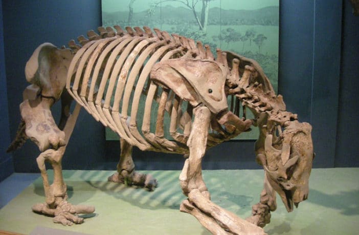 10 Terrifying Animals That Lived Alongside Prehistoric Man 10 Terrifying Animals That Lived Alongside Prehistoric Man