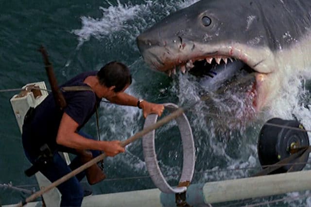 movie jaws facts