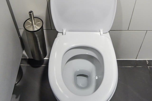 The Terrible Truths About Toilets Toptenz Net