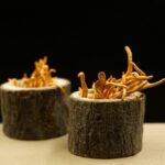 How Many Behavior-Altering Fungi, Parasites, and Bacteria Are There?